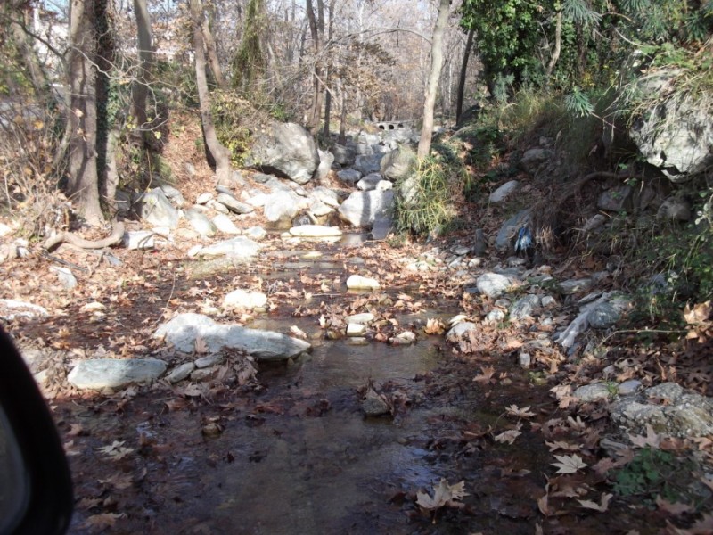 DSCF0119.jpg