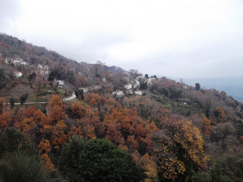 DSCF0093.jpg