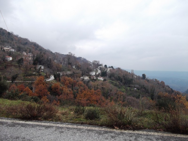 DSCF0092.jpg