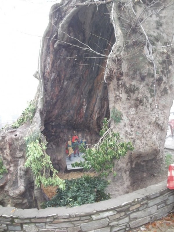 DSCF0060.jpg