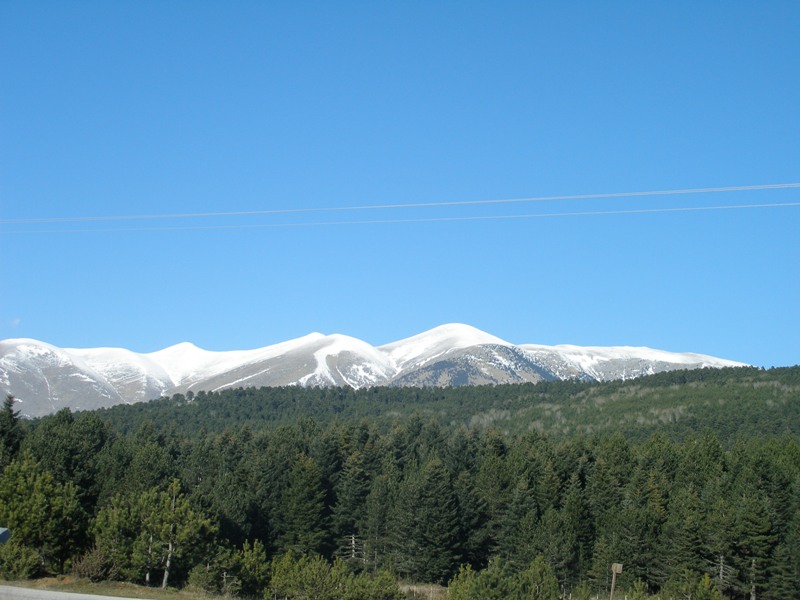 P1015270i.jpg