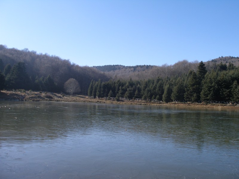 P1015371i.jpg