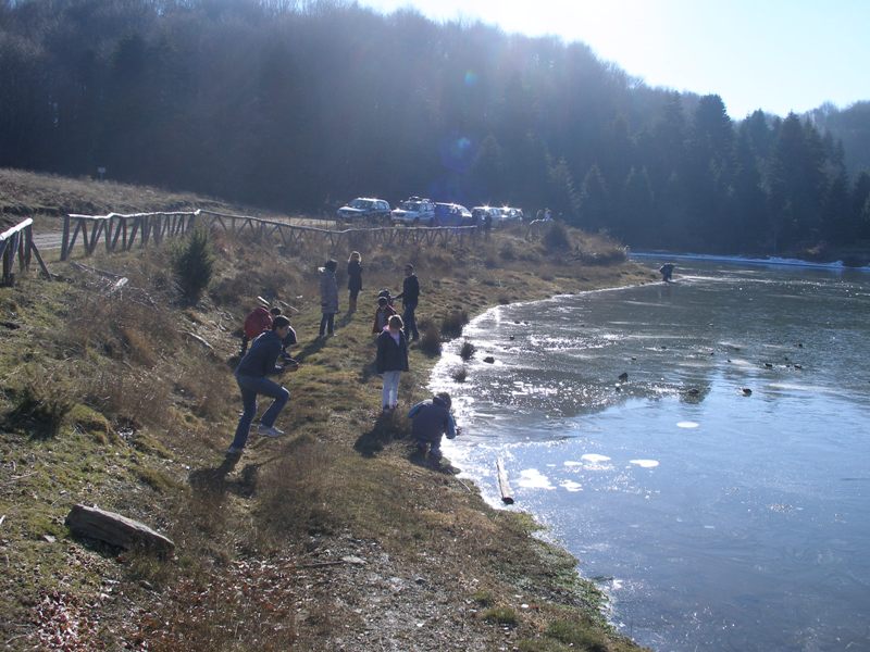 P1015377i.jpg
