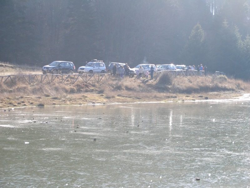 P1015384i.jpg