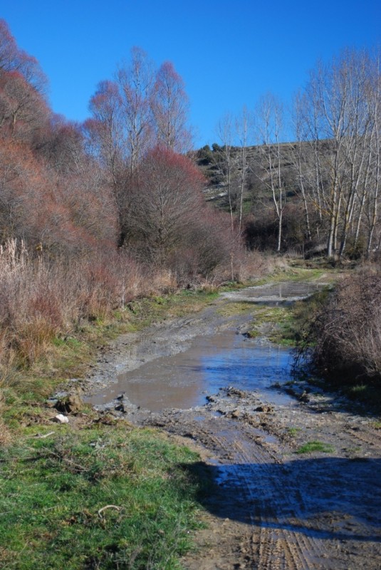 DSC_4470.JPG