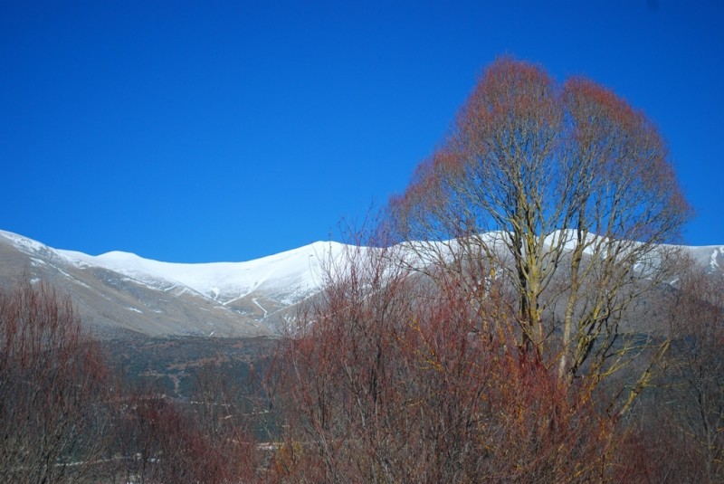 DSC_4471.JPG