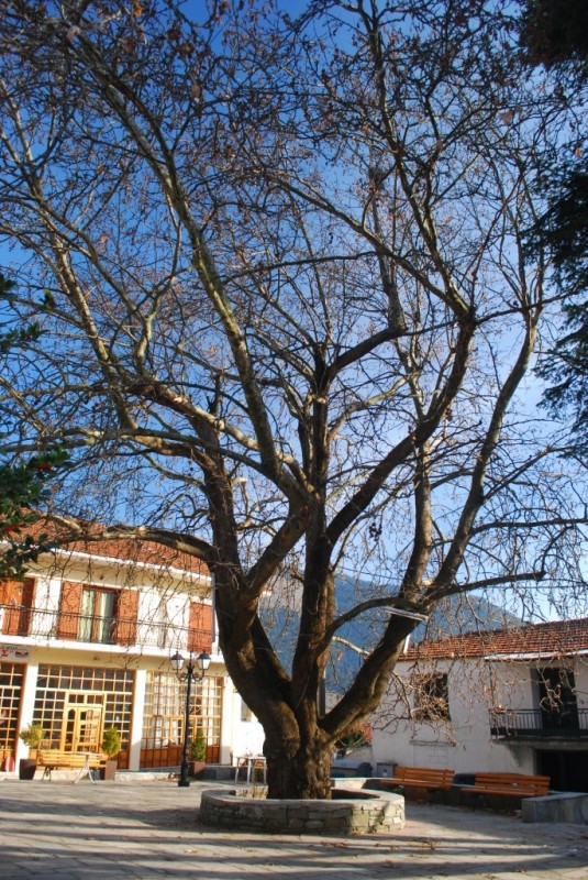DSC_4480.JPG