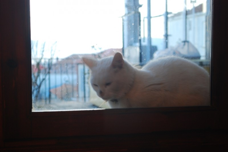 DSC_4498.JPG