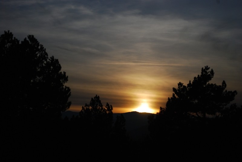 DSC_4499.JPG