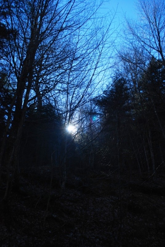 DSC_4557.JPG