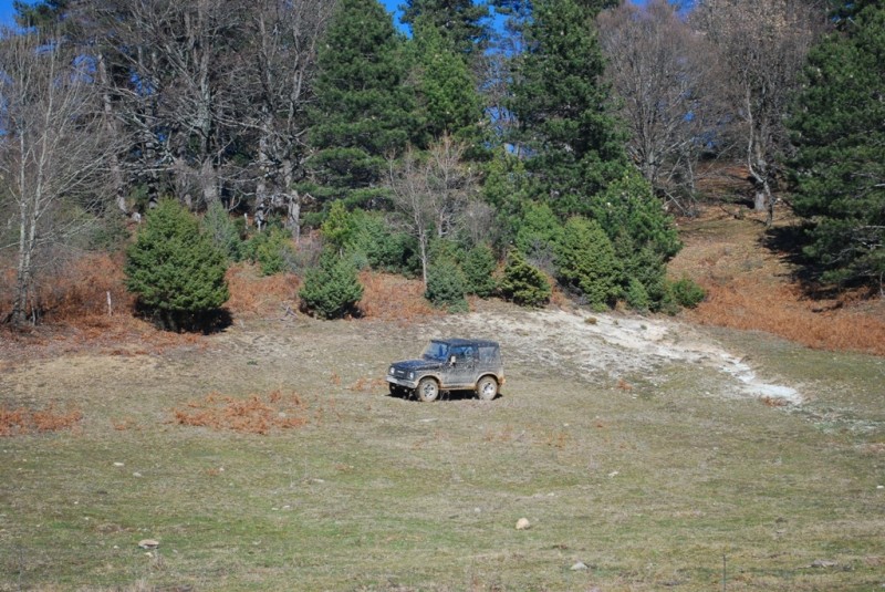 DSC_4559.JPG