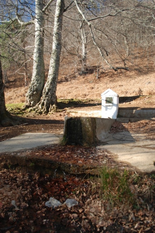 DSC_4581.JPG