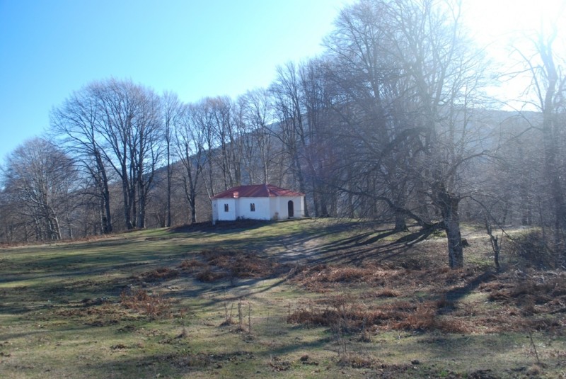 DSC_4585.JPG