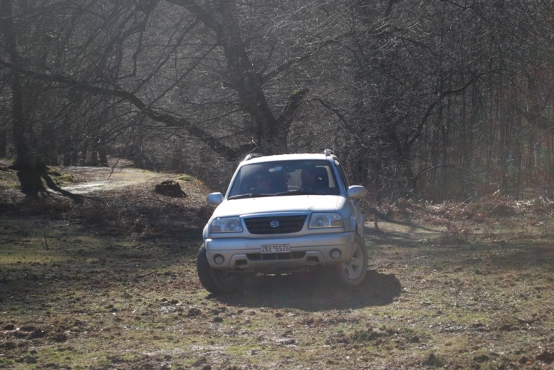 DSC_4595.JPG