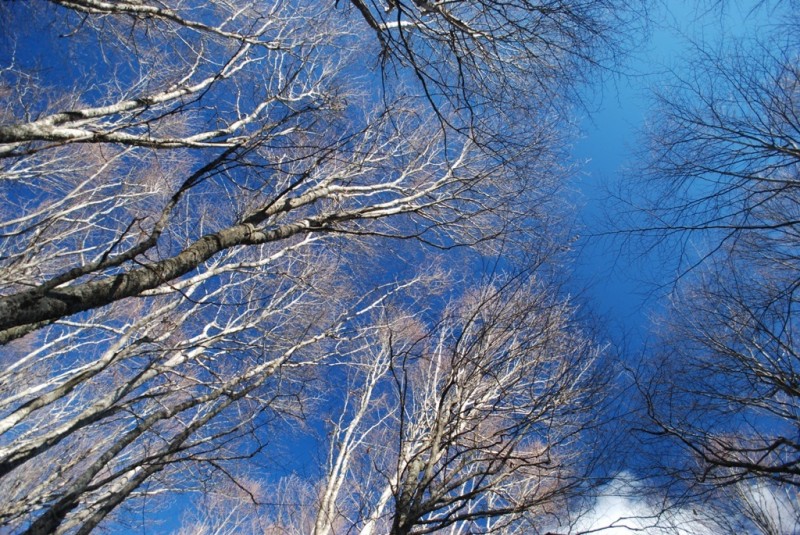 DSC_4608.JPG
