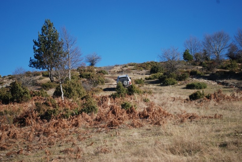 DSC_4657.JPG
