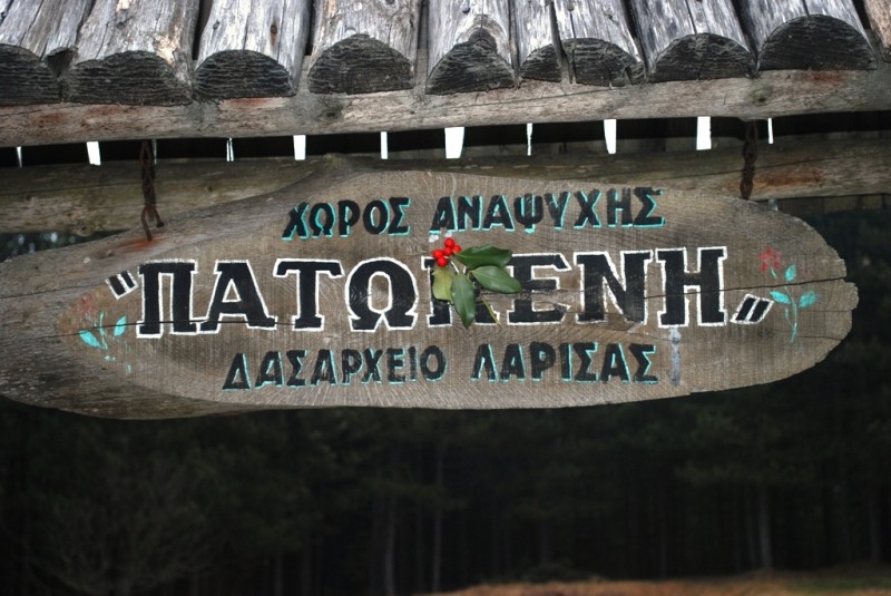 DSC_4721.JPG