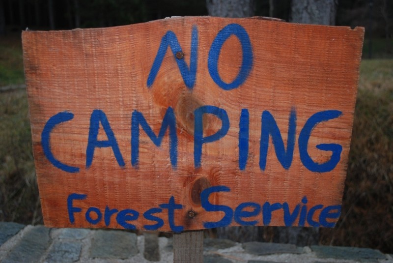 DSC_4725.JPG