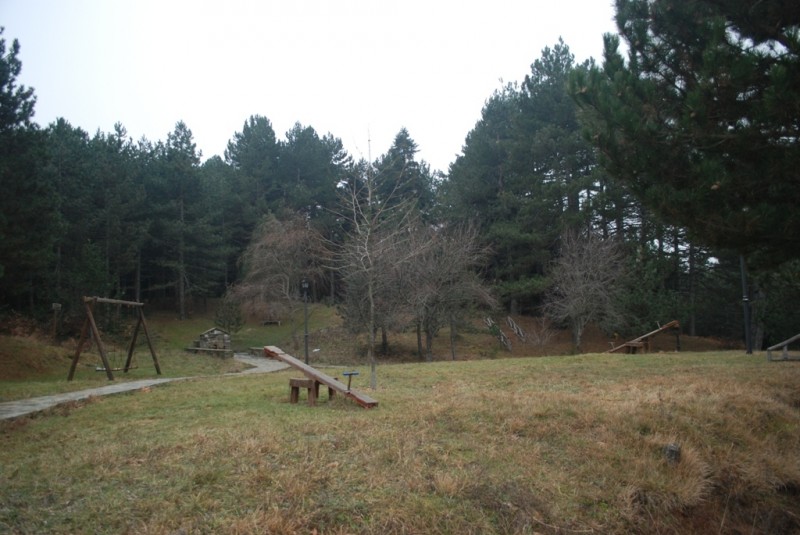 DSC_4727.JPG