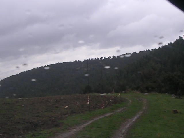 1-3-2011_001.jpg