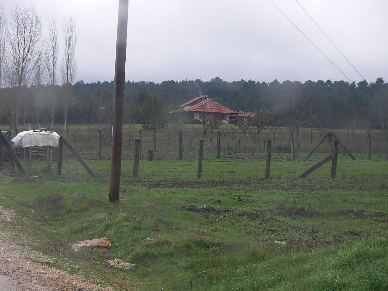 SANY0003.JPG