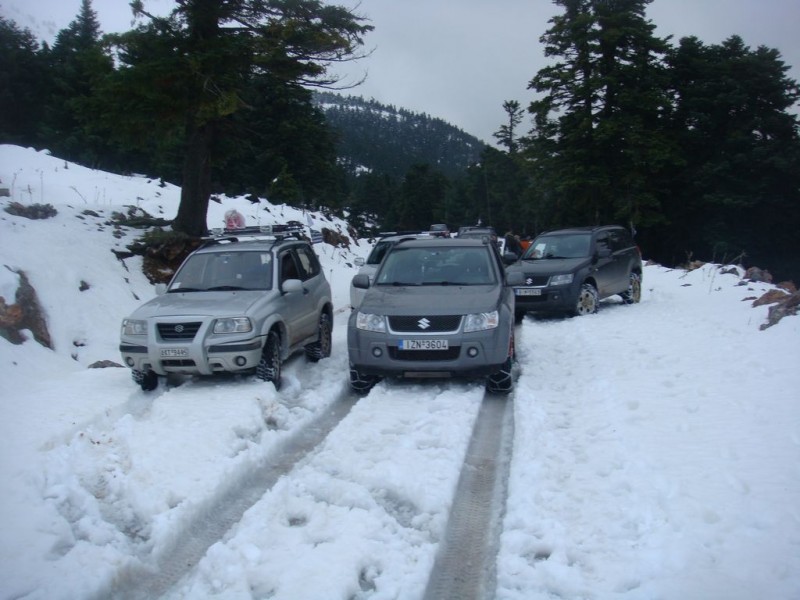 DSC06486-qpr.jpg