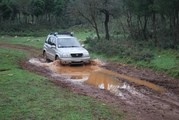 DSC_2393.jpg
