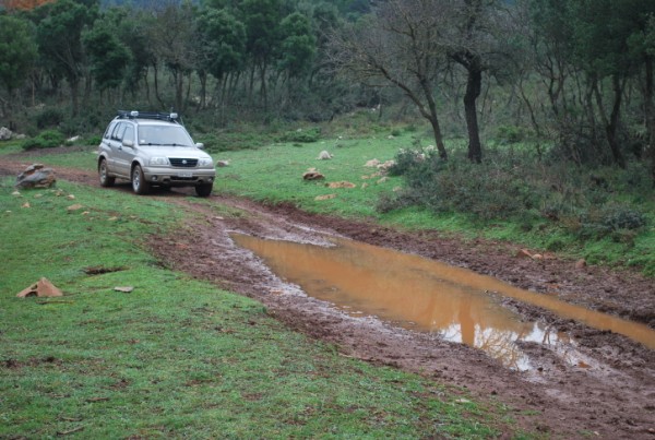 DSC_2391.jpg