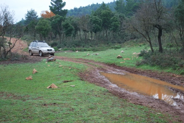 DSC_2390.jpg