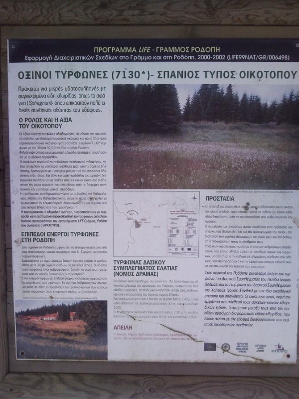 mikro7.JPG