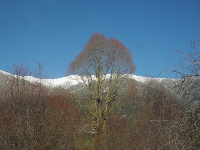 PC310590.jpg