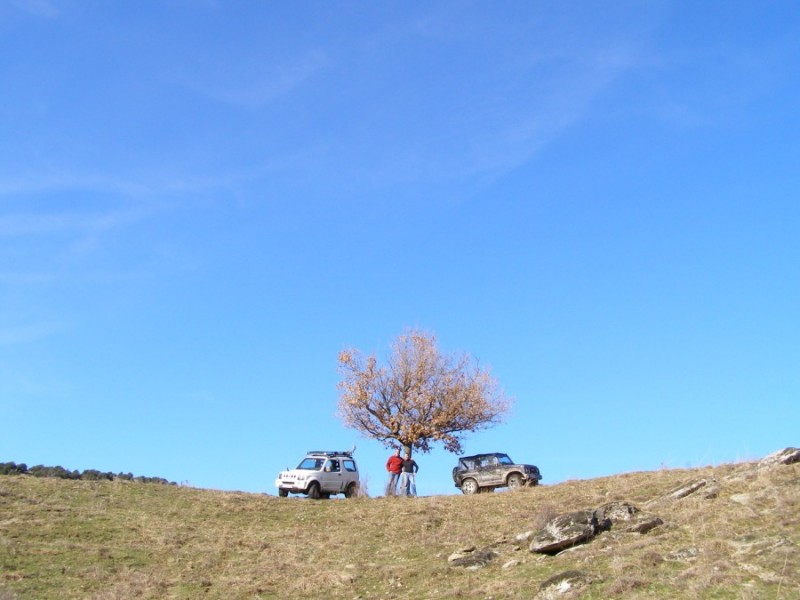 PC319513.jpg