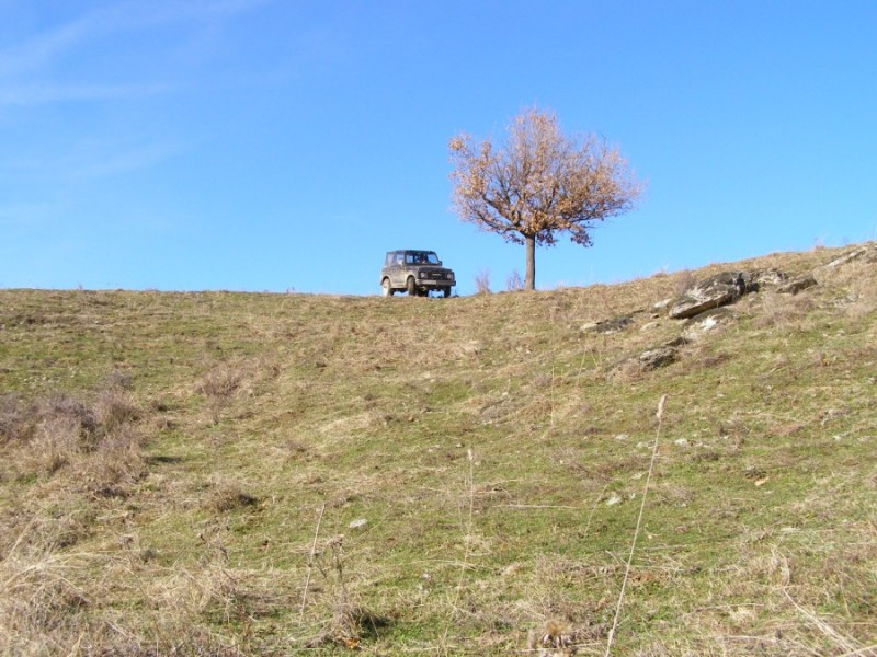 PC319520.jpg