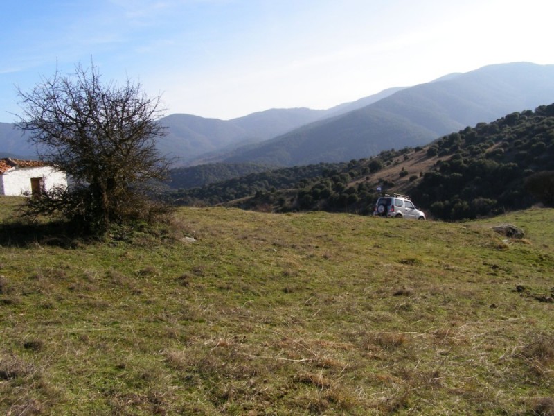 PC319521.jpg