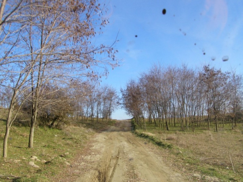 PC319527.jpg