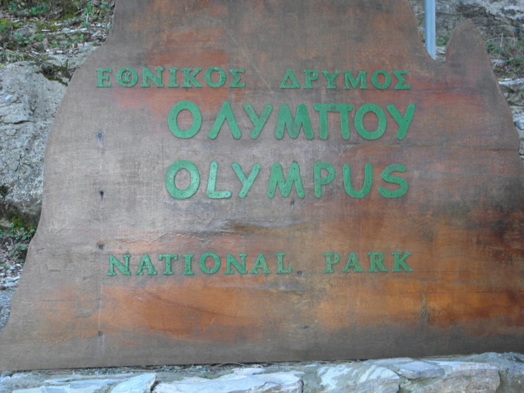 PC300550.jpg