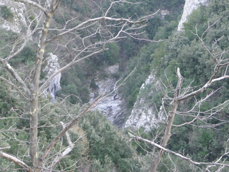 PC300556.jpg