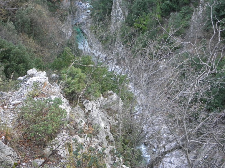 PC300559.jpg