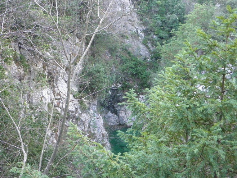 PC300563.jpg