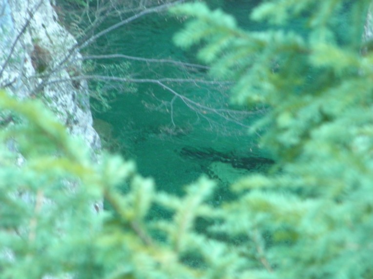 PC300564.jpg