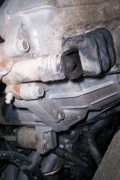 troba symlekti (400 x 600).jpg