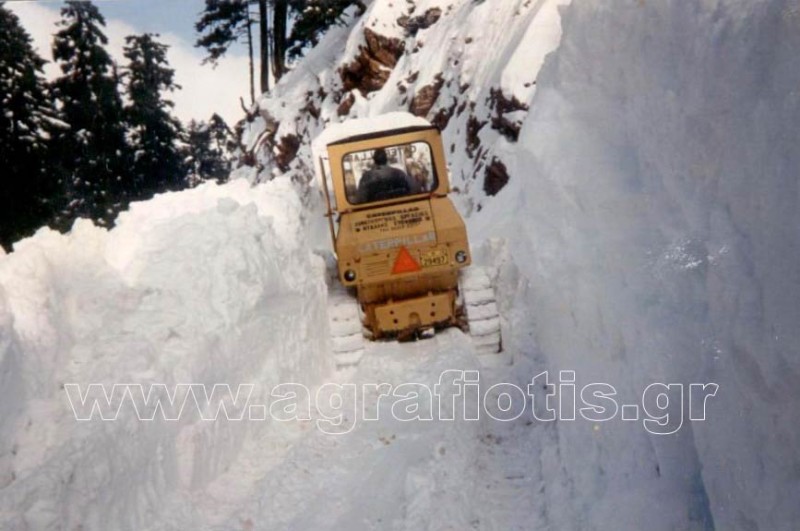 Trovato_snow.jpg