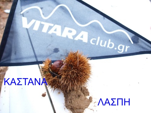kastanovitara.jpg