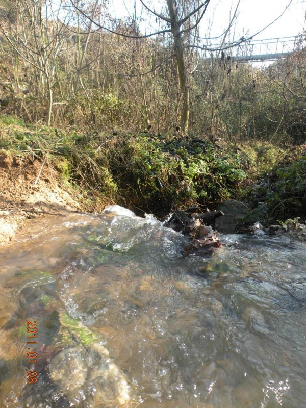 DSCN3920.JPG