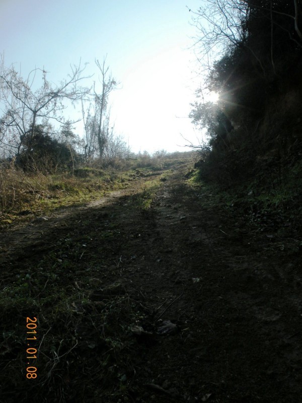 DSCN3922.JPG