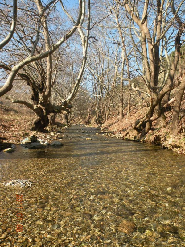 DSCN3929.JPG
