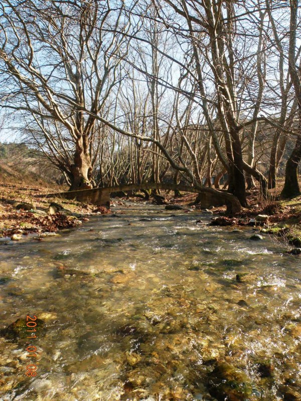 DSCN3930.JPG