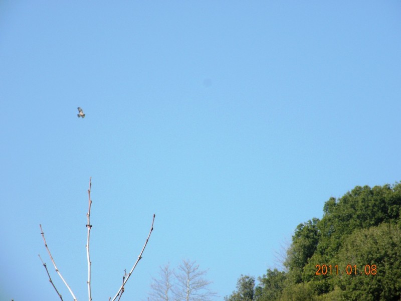 DSCN3946.JPG