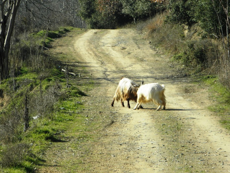 P1080144.JPG