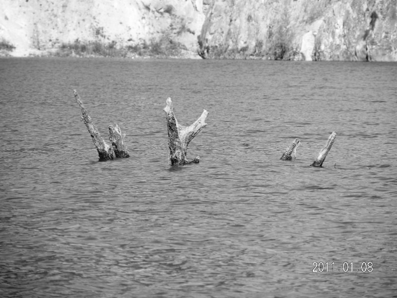 DSCN3950.JPG